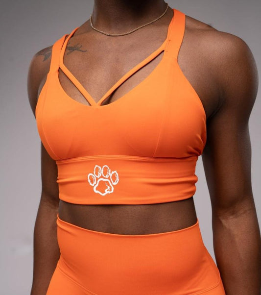 Kodiak Sports Bra